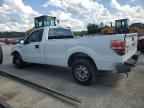 2013 Ford F150  for Sale in Harleyville, SC - Front End