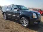 2010 Cadillac Escalade Platinum for Sale in Elgin, IL - Front End