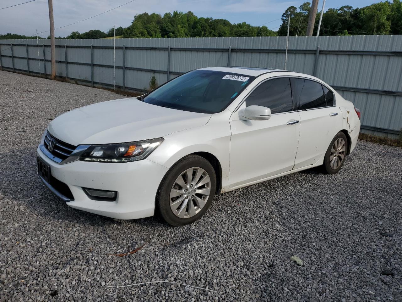 2013 Honda Accord Exl продається в Grenada, MS - Rear End