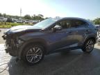 2016 Lexus Nx 300H за продажба в Orlando, FL - Front End