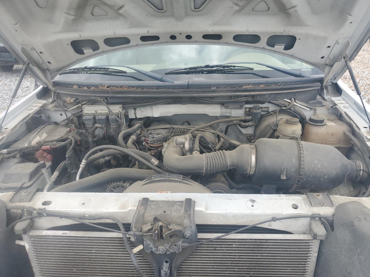 2013 Chevrolet Silverado C1500 VIN: 1GCNCPEX7DZ900181 Lot: 50920345