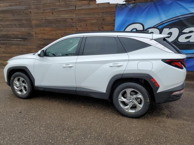  HYUNDAI TUCSON 2024 Biały