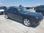 2014 Dodge Challenger Sxt na sprzedaż w New Orleans, LA - Water/Flood