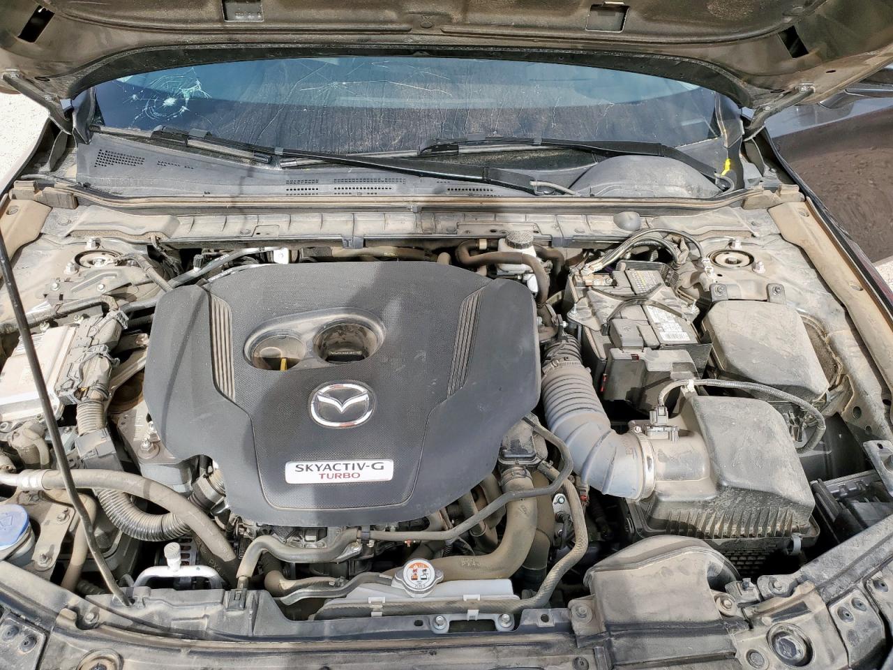 2021 Mazda 3 VIN: 3MZBPBAY7MM254082 Lot: 56074875