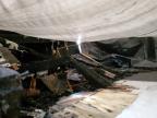 1994 EDGEWATER WATER BOAT   for sale at Copart NB - MONCTON