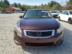 2009 Honda Accord Lxp na sprzedaż w Mendon, MA - Minor Dent/Scratches