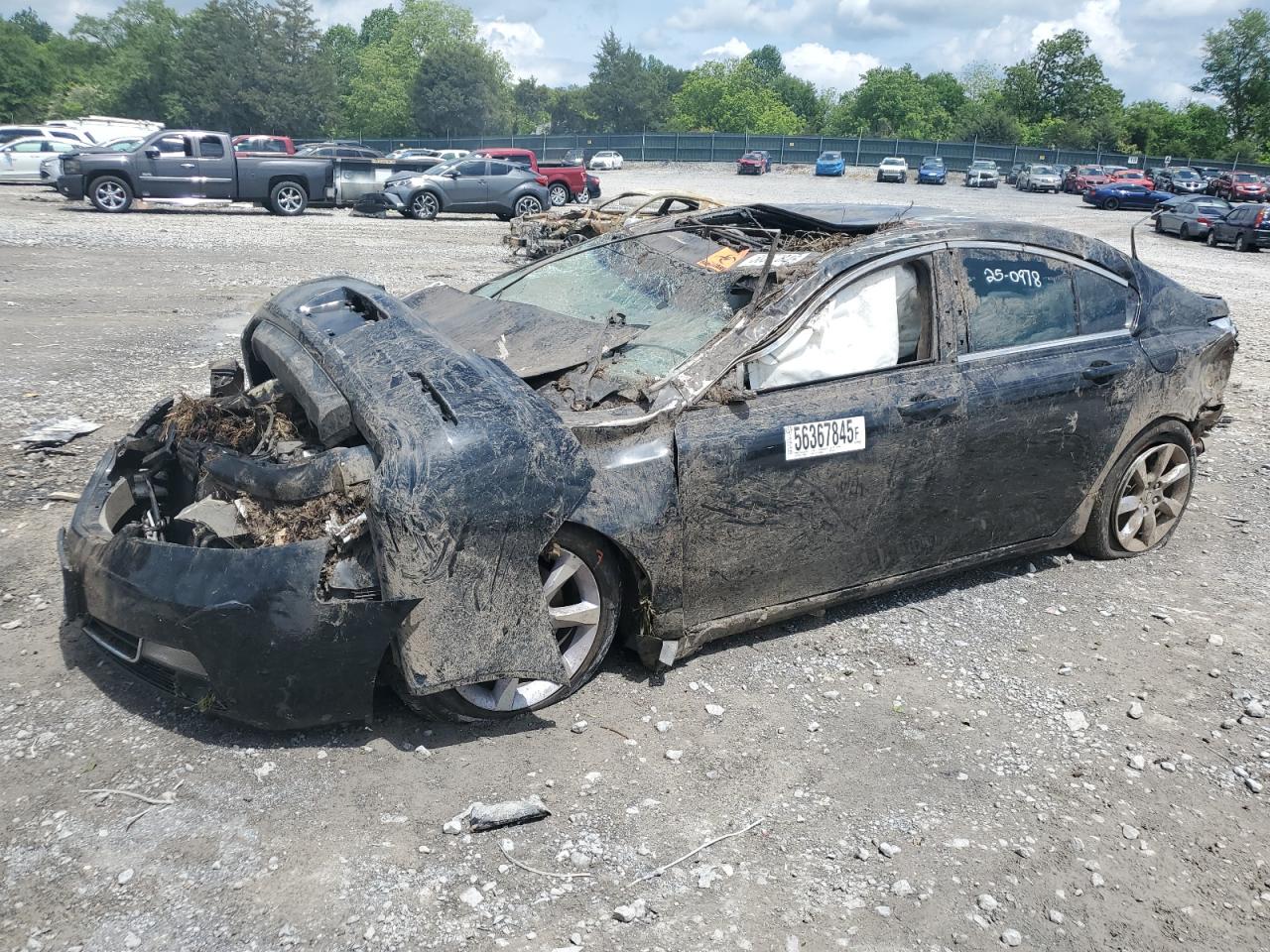 2013 Acura Tl Tech for Sale in Madisonville, TN - All Over