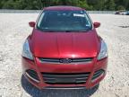 2016 Ford Escape Se for Sale in Houston, TX - Hail