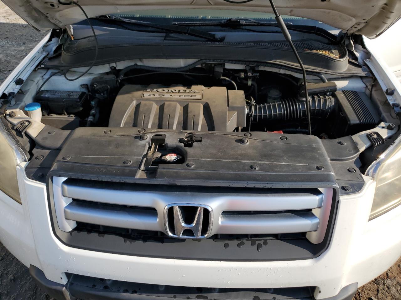 2007 Honda Pilot Exl VIN: 5FNYF18677B002128 Lot: 56289085