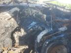 2003 Chevrolet Tahoe C1500 იყიდება Hueytown-ში, AL - Burn