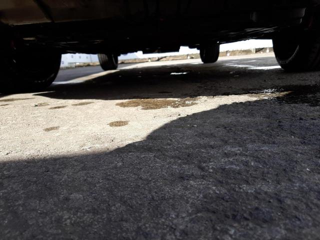 2007 FIAT SEDICI DYN