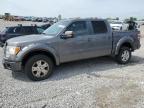 2010 Ford F150 Supercrew продається в Earlington, KY - Hail
