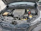2023 Subaru Forester Wilderness იყიდება Wilmer-ში, TX - Water/Flood