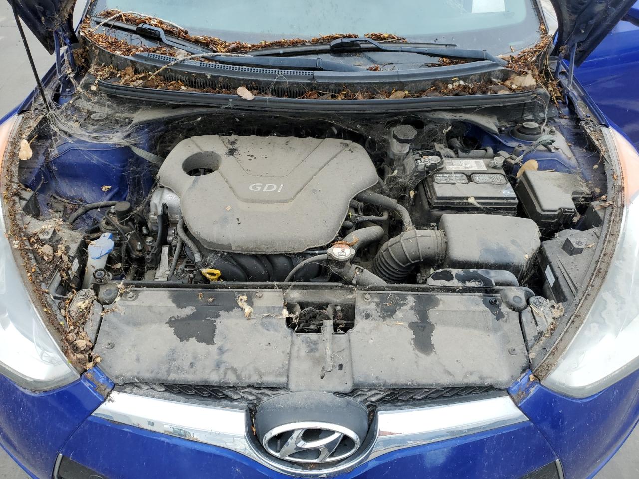 2013 Hyundai Veloster VIN: KMHTC6AD0DU146417 Lot: 56939695