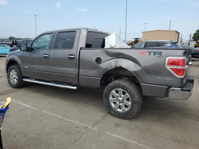 FORD F-150 2014 Вугільний