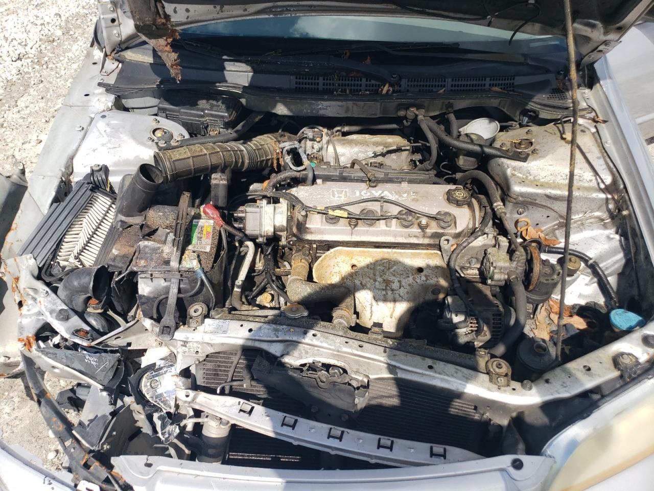 2001 Honda Accord Value VIN: 1HGCF86651A084206 Lot: 56492445