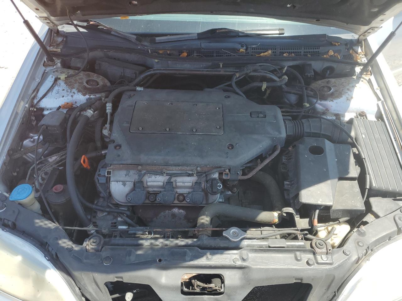 2001 Acura 3.2Tl VIN: 19UUA56641A001317 Lot: 57213795