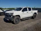 2024 CHEVROLET COLORADO TRAIL BOSS for sale at Copart ON - OTTAWA