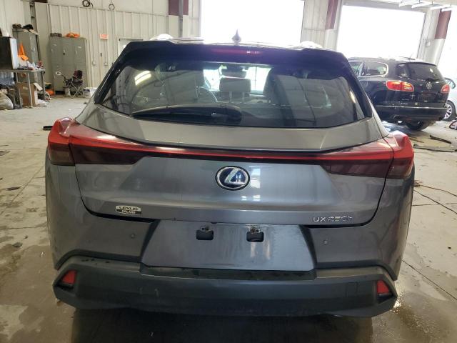  LEXUS UX 250H 2019 Серый