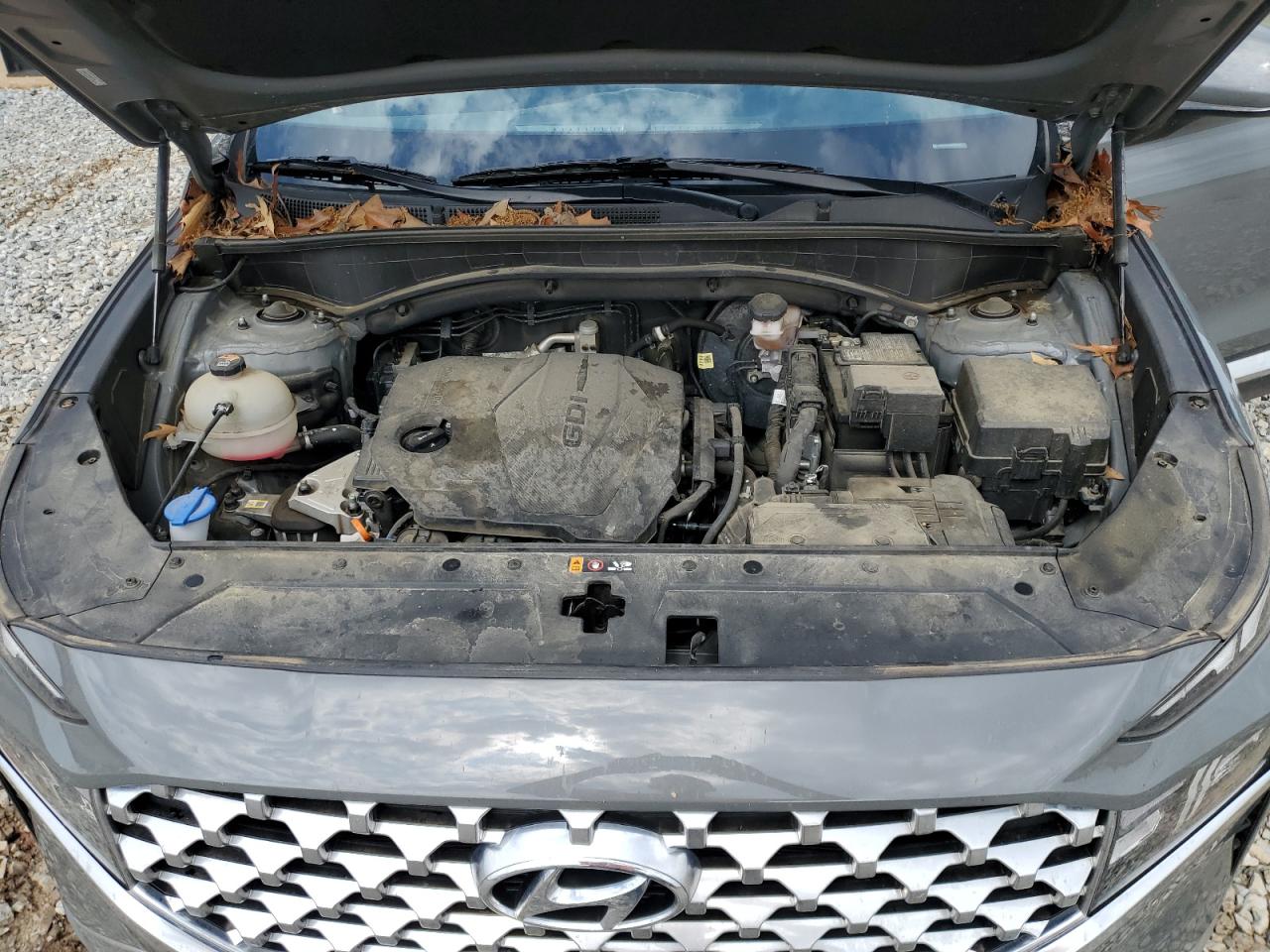 2022 Hyundai Santa Fe Sel VIN: 5NMS24AJ0NH432144 Lot: 57042075