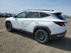 2023 Hyundai Tucson Sel للبيع في Rocky View County، AB - Normal Wear