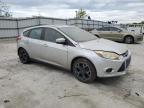 2014 Ford Focus Se იყიდება Walton-ში, KY - Front End