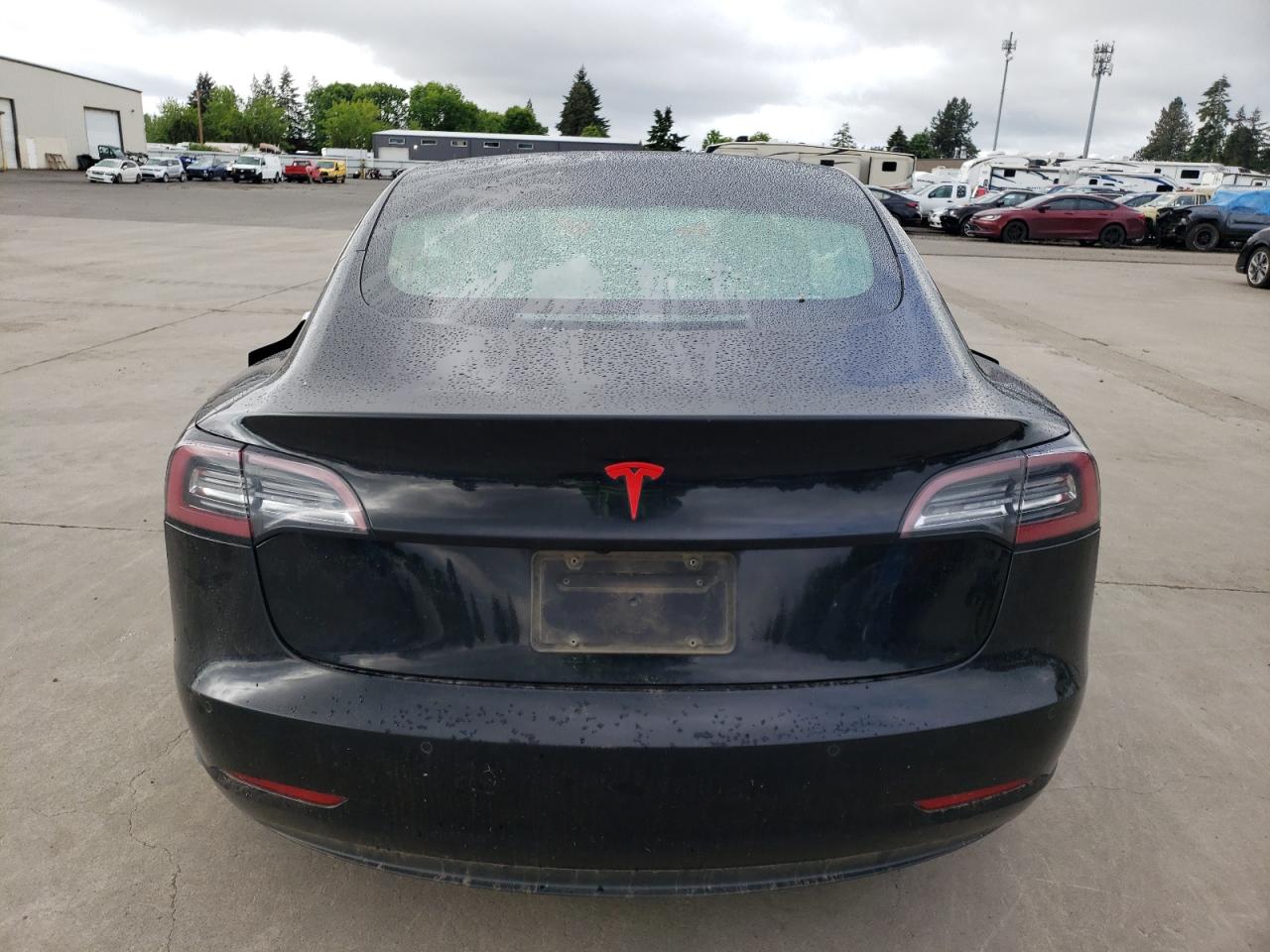 2019 Tesla Model 3 VIN: 5YJ3E1EA7KF304386 Lot: 56880055