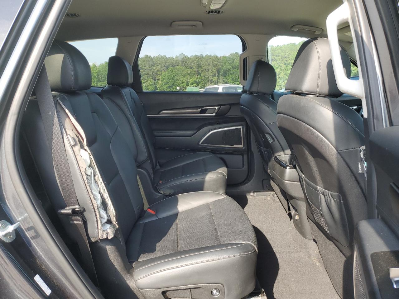 2023 Kia Telluride S VIN: 5XYP6DGC9PG351613 Lot: 60156115