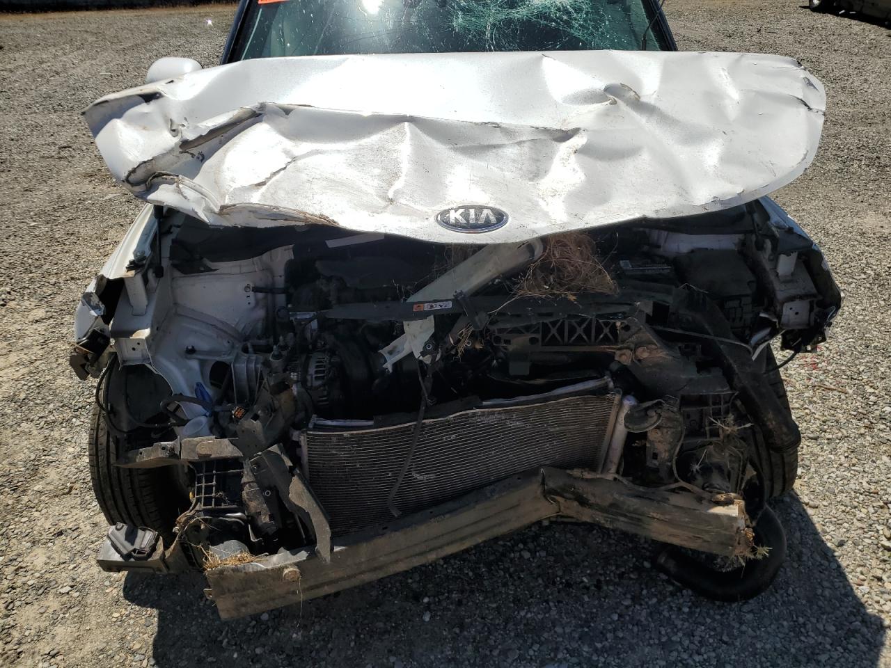 2020 Kia Soul Lx VIN: KNDJ23AU0L7702039 Lot: 57263855