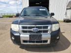 2010 Ford Escape Limited na sprzedaż w Portland, MI - Side