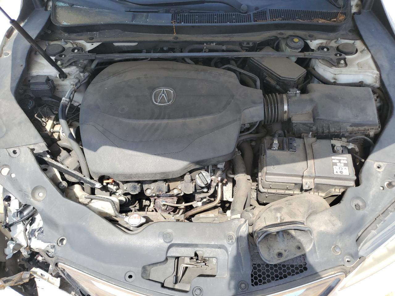 2015 Acura Tlx VIN: 19UUB2F37FA020825 Lot: 56641335