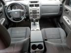 2012 Ford Escape Xlt for Sale in Brighton, CO - Front End
