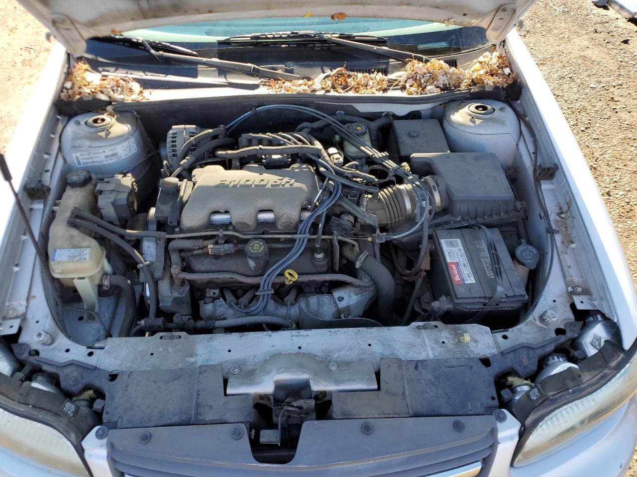 2001 Chevrolet Malibu VIN: 1G1ND52J61M596991 Lot: 57237105
