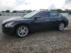 Louisville, KY에서 판매 중인 2012 Nissan Maxima S - Hail