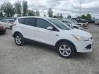 2014 Ford Escape Se for Sale in Wayland, MI - Front End