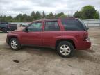 2009 Chevrolet Trailblazer Lt for Sale in Elgin, IL - Front End