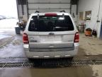 2008 Ford Escape Xlt იყიდება Blaine-ში, MN - Minor Dent/Scratches