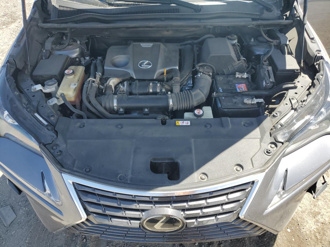 2019 Lexus Nx 300 Base VIN: JTJBARBZXK2194319 Lot: 57480415