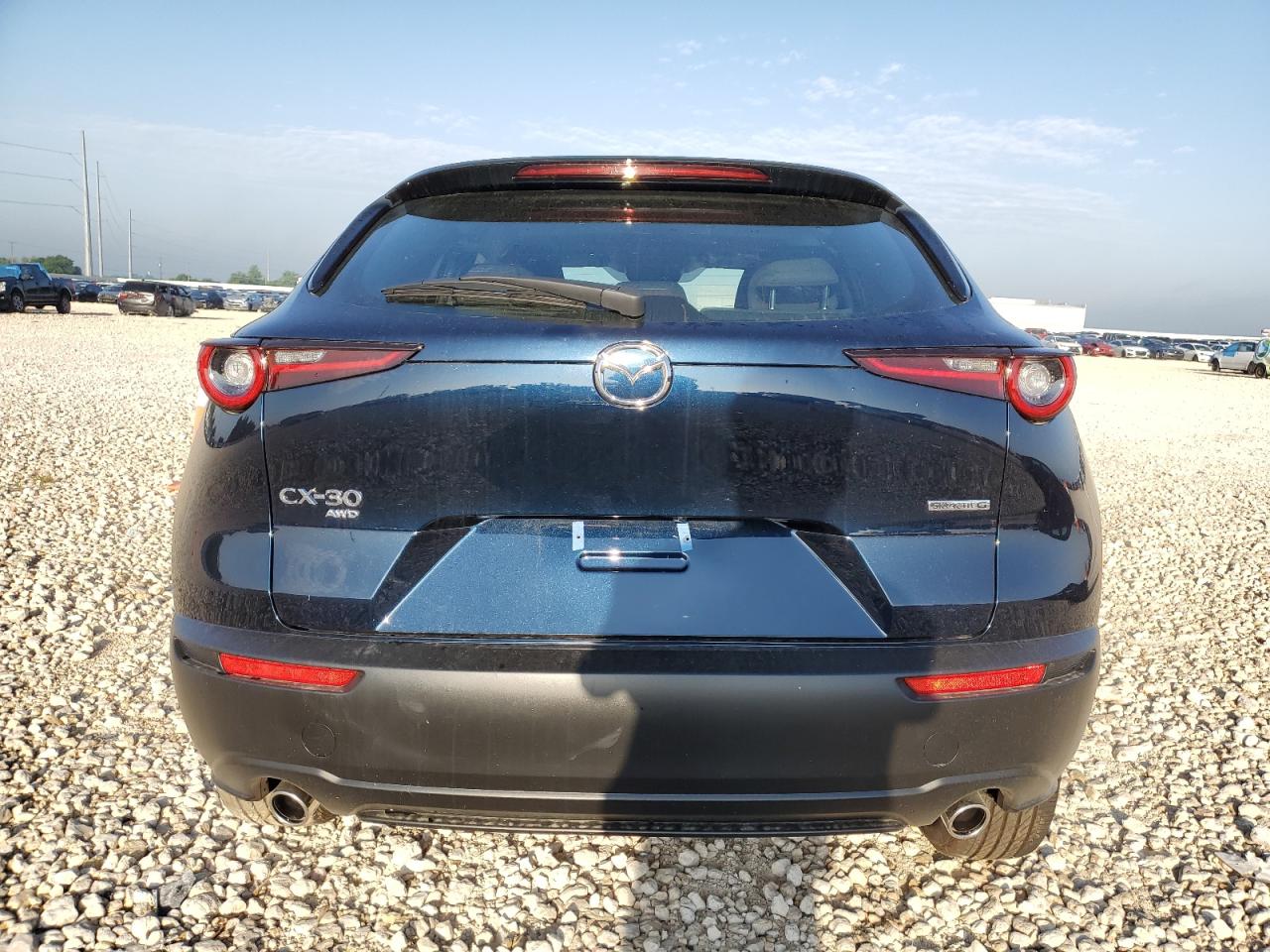 2025 Mazda Cx-30 VIN: 3MVDMBAM4SM825489 Lot: 56720645