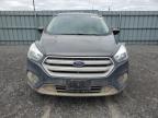 2019 Ford Escape Se იყიდება Ottawa-ში, ON - Hail