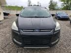 2013 Ford Escape Sel for Sale in Northfield, OH - Mechanical