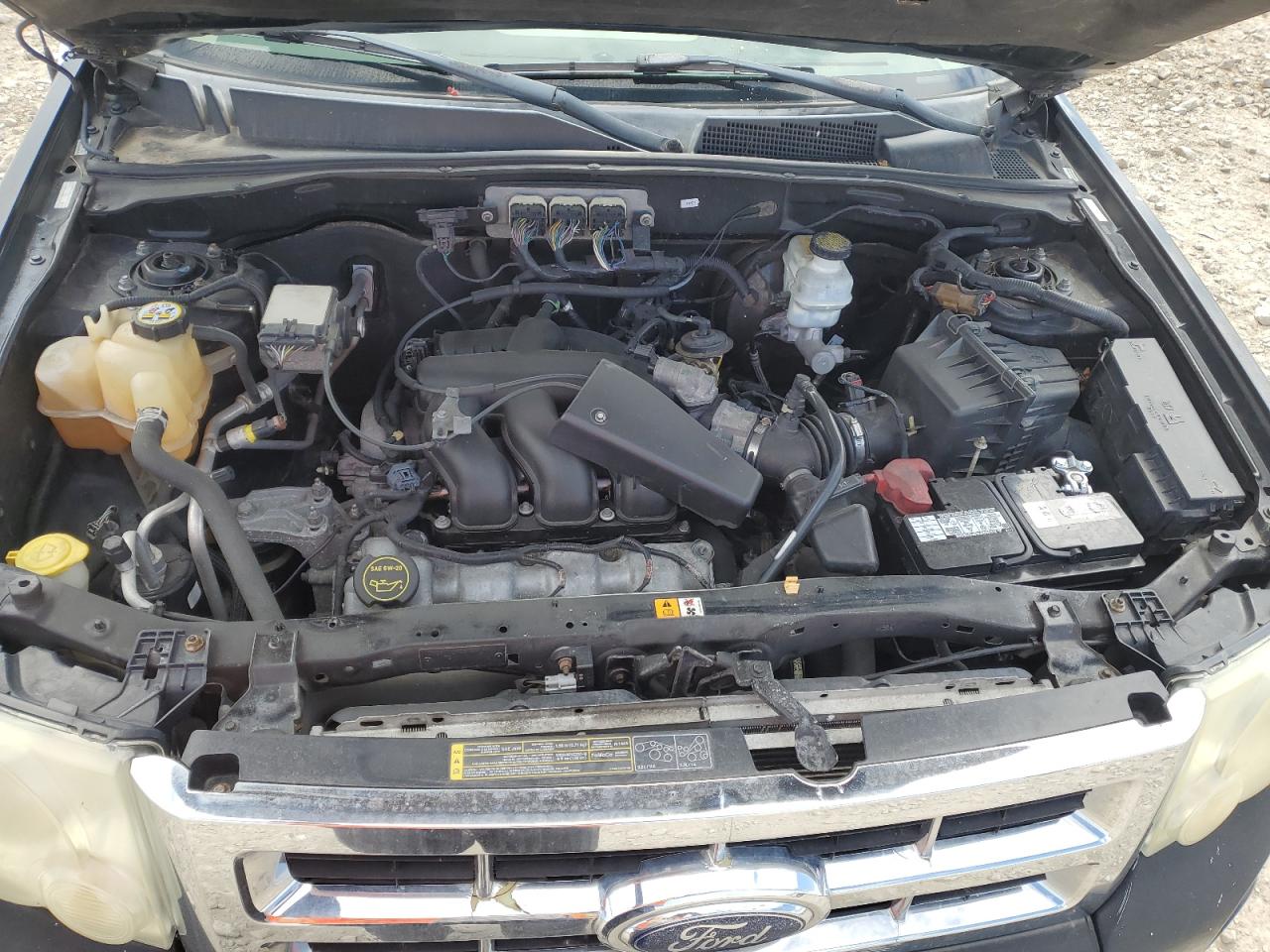 2008 Ford Escape Xlt VIN: 1FMCU031X8KB43331 Lot: 58225055