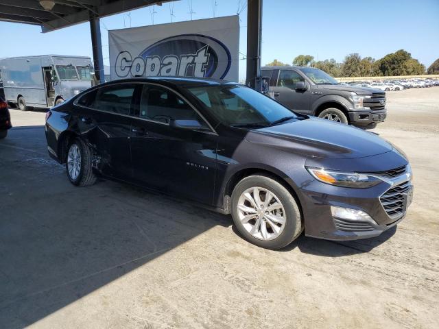 CHEVROLET MALIBU 2023 Gray