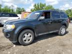 2011 Ford Escape Xlt за продажба в Baltimore, MD - Mechanical
