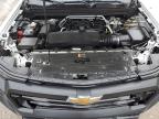 2023 Chevrolet Colorado  en Venta en Laurel, MD - Front End