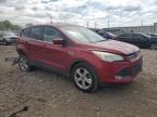 2013 Ford Escape Se for Sale in Chicago Heights, IL - Rear End