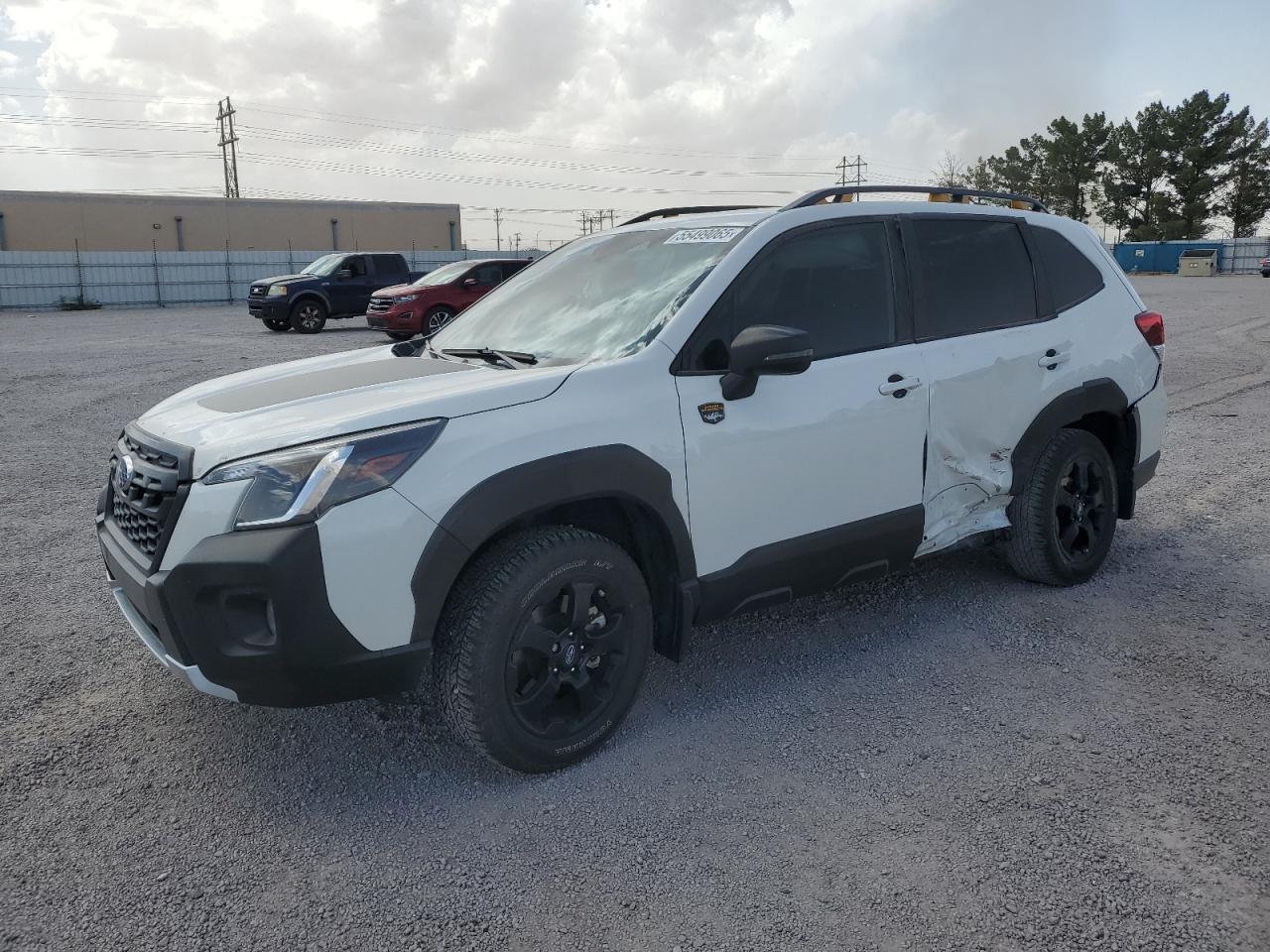 2023 Subaru Forester Wilderness იყიდება Anthony-ში, TX - Side