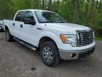 2010 Ford F150 Supercrew for Sale in Cookstown, ON - Rear End