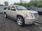 2008 Gmc Yukon Xl Denali for Sale in Marlboro, NY - Front End