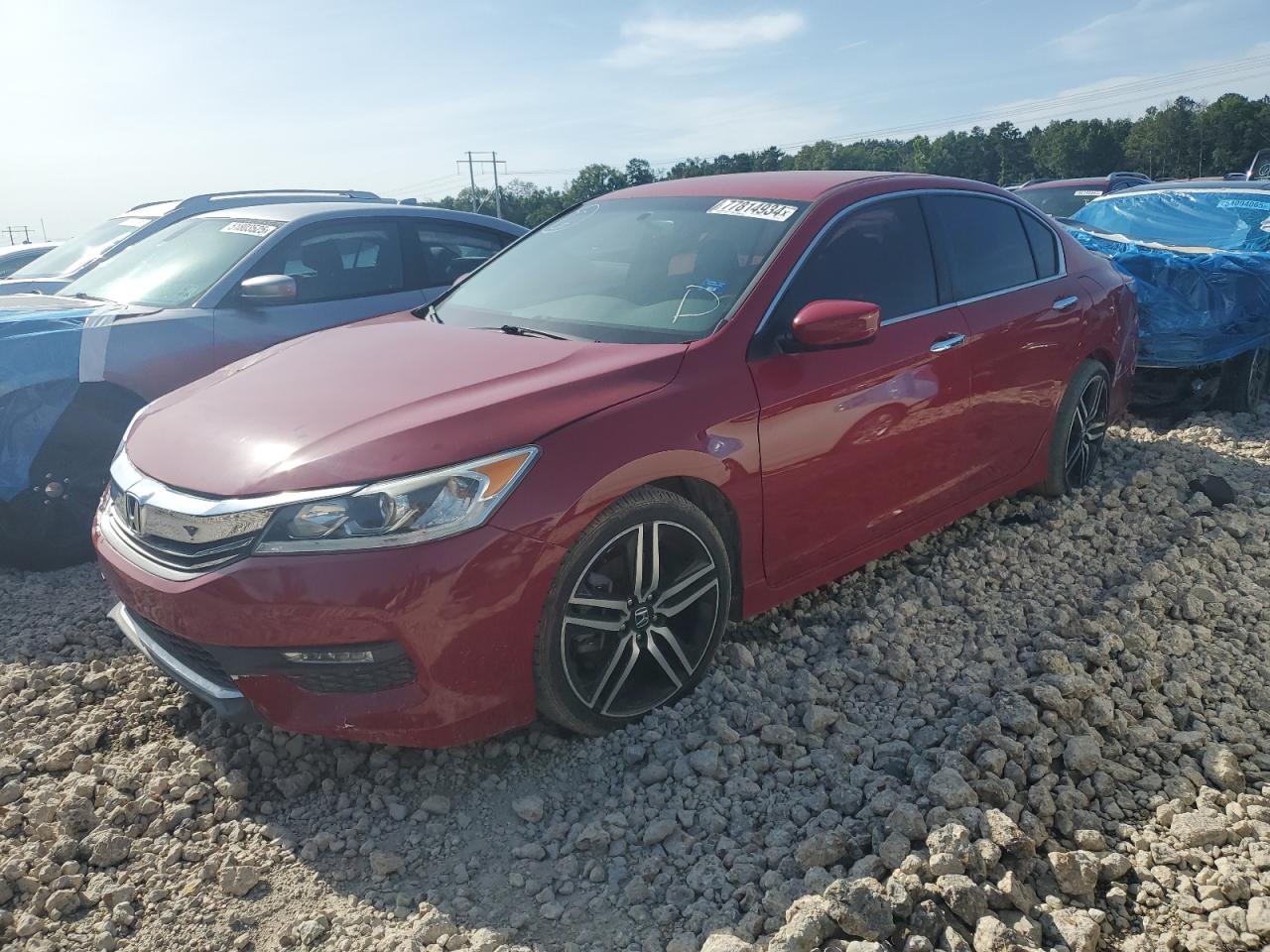 Greenwell Springs, LA에서 판매 중인 2016 Honda Accord Sport - Rear End